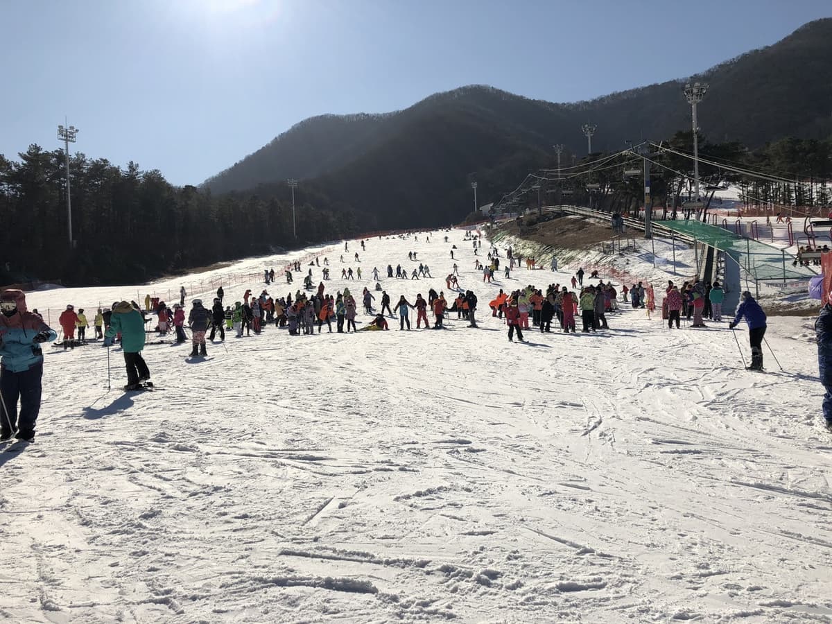 Jisan Forest Ski Resort Full-Day Tour from Seoul