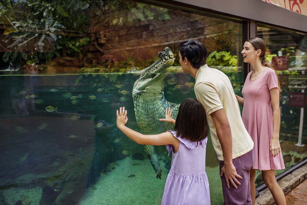 River Wonders Singapore Ticket
