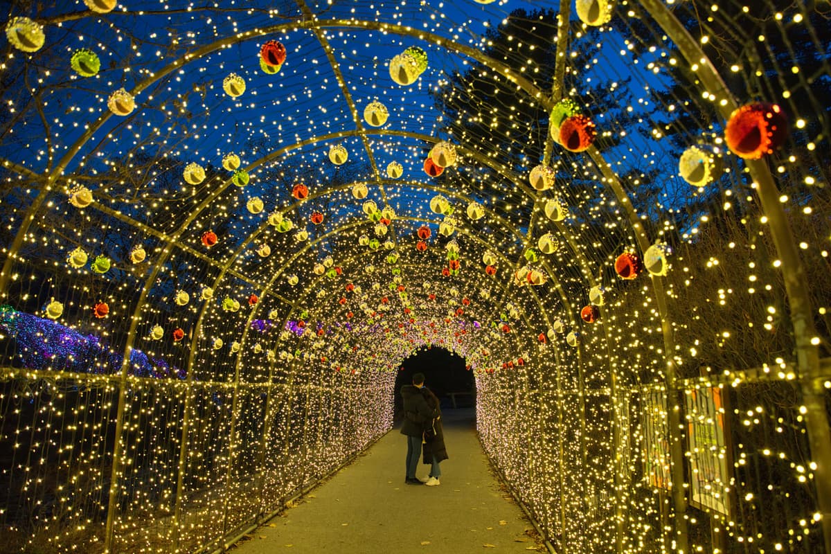 Nami Island, Mount Seorak, and Garden of Morning Calm Full-Day Tour from Seoul