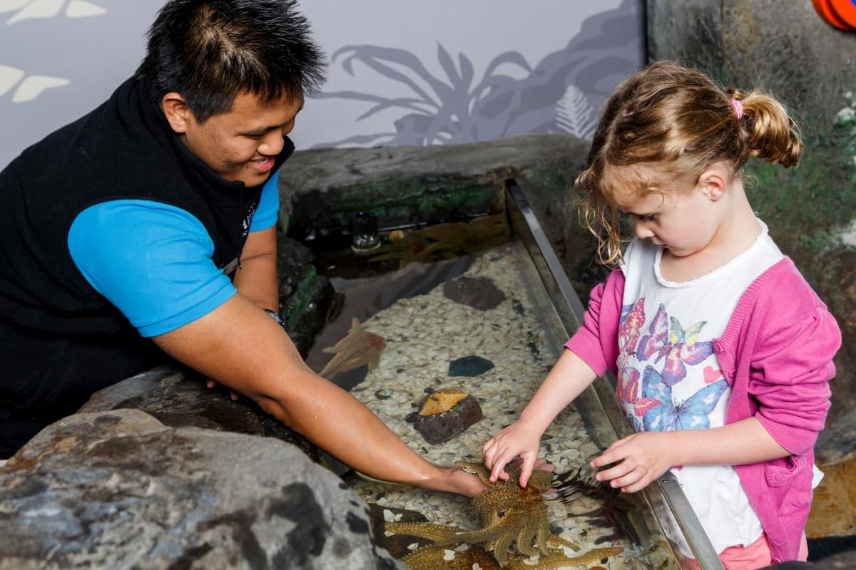 SEA LIFE Kelly Tarlton's Aquarium Ticket