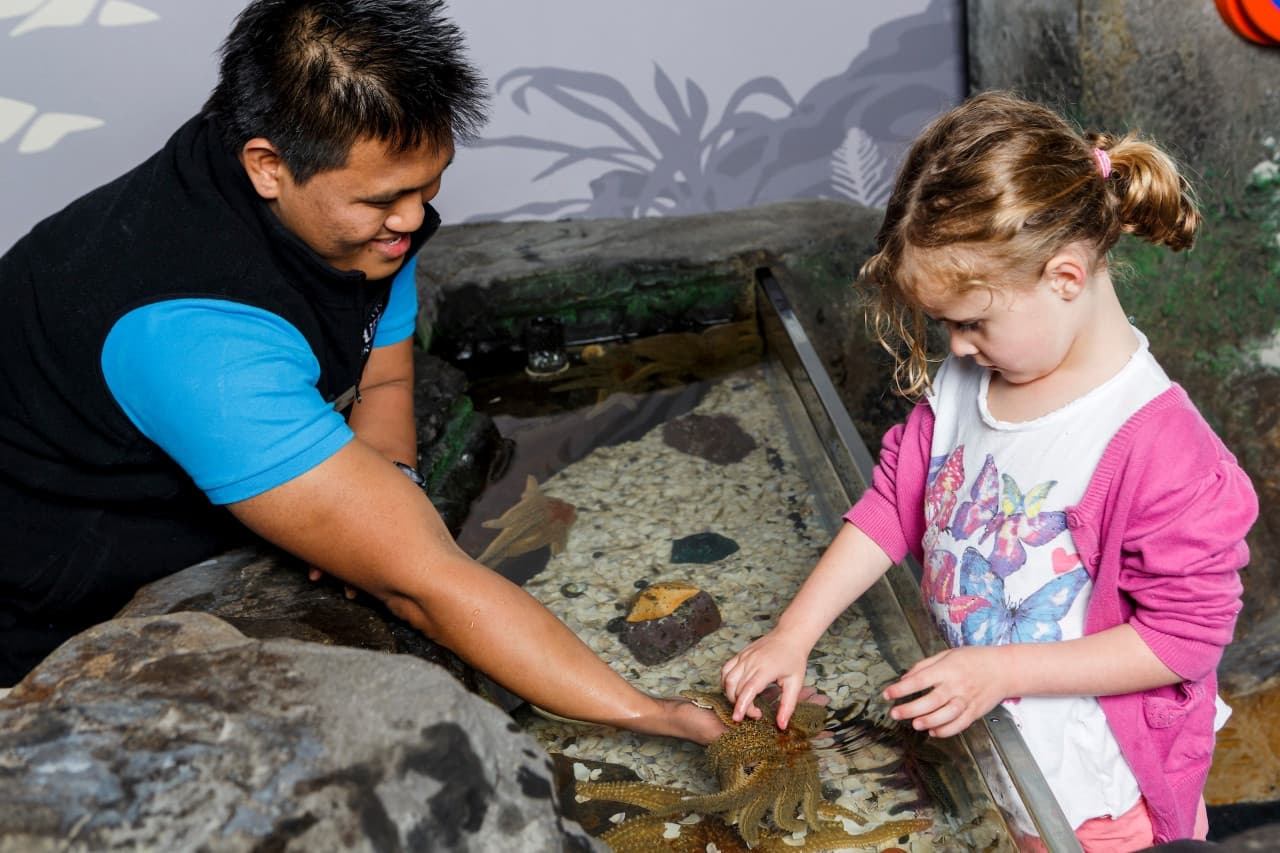 SEA LIFE Kelly Tarlton's Aquarium Ticket