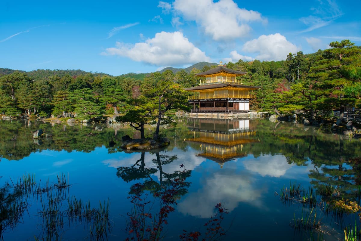 Kyoto and Nara Full-Day Tour from Kyoto