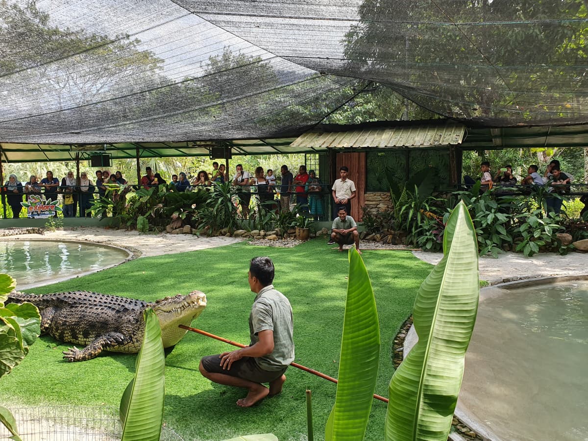 Crocodile Adventureland Langkawi