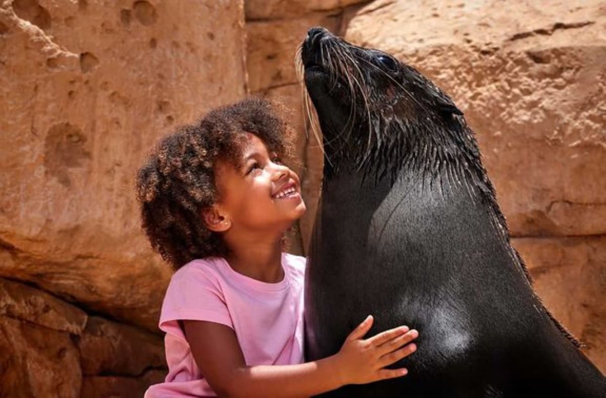 Atlantis Aquaventure World Dubai - Dolphin and Sea Lion Experiences at Atlas Village