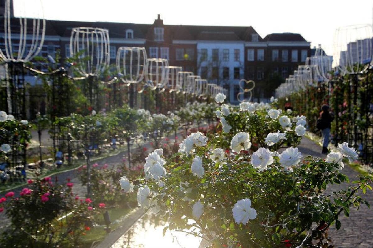 Huis Ten Bosch Theme Park