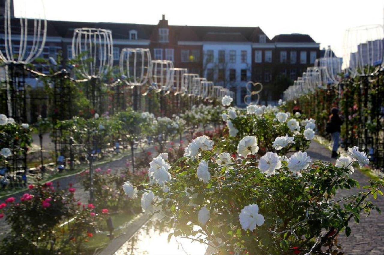 Huis Ten Bosch Theme Park