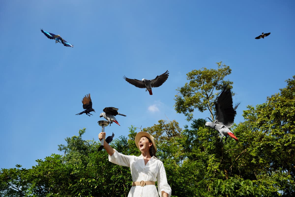 Singapore Bird Paradise Ticket