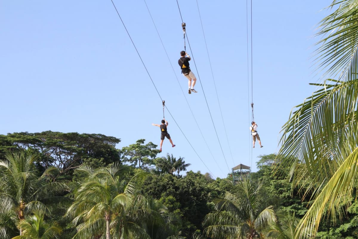 COMBO: Singapore Cable Car + MegaZip at Mega Adventure Park