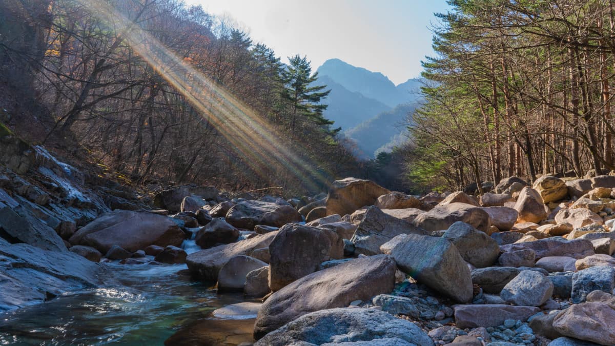 Mount Seorak and Naksansa Temple Tour from Seoul