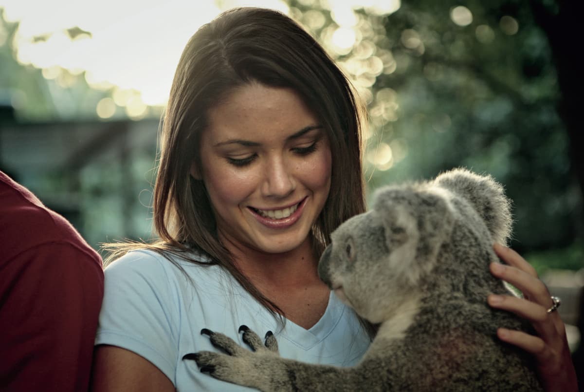 Lone Pine Koala Sanctuary Entry Ticket with Cruise