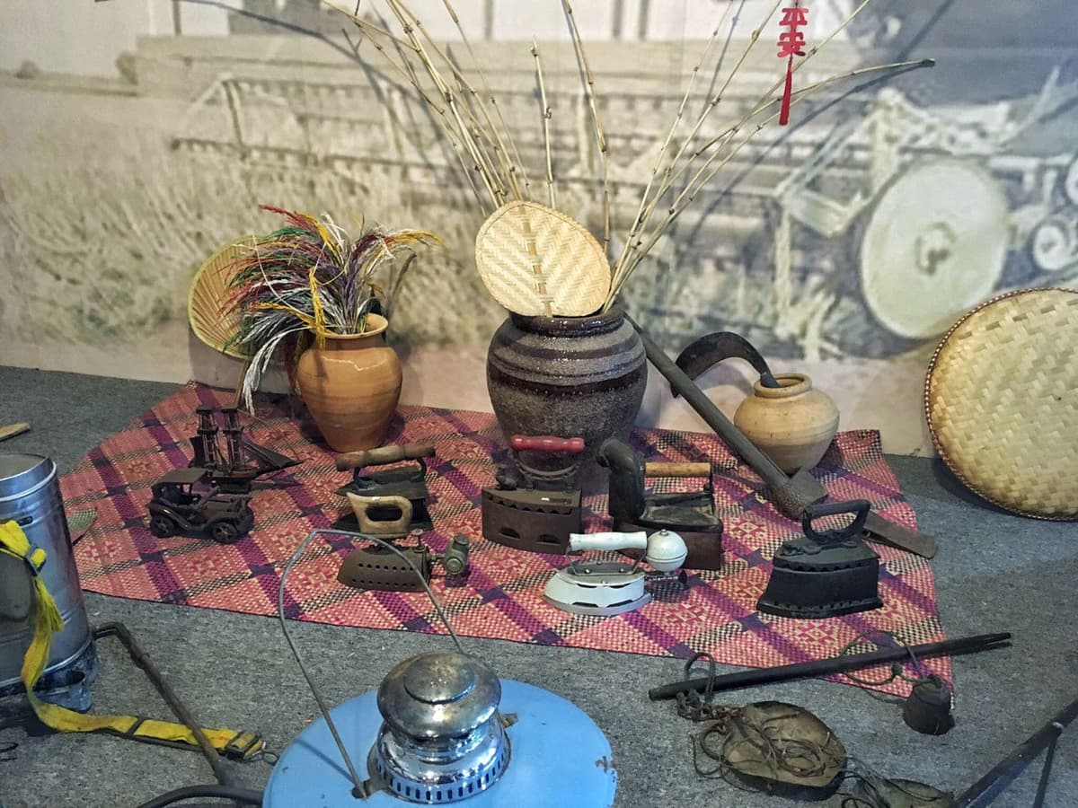 Sekinchan Paddy Fields and Fishing Village Tour from Kuala Lumpur