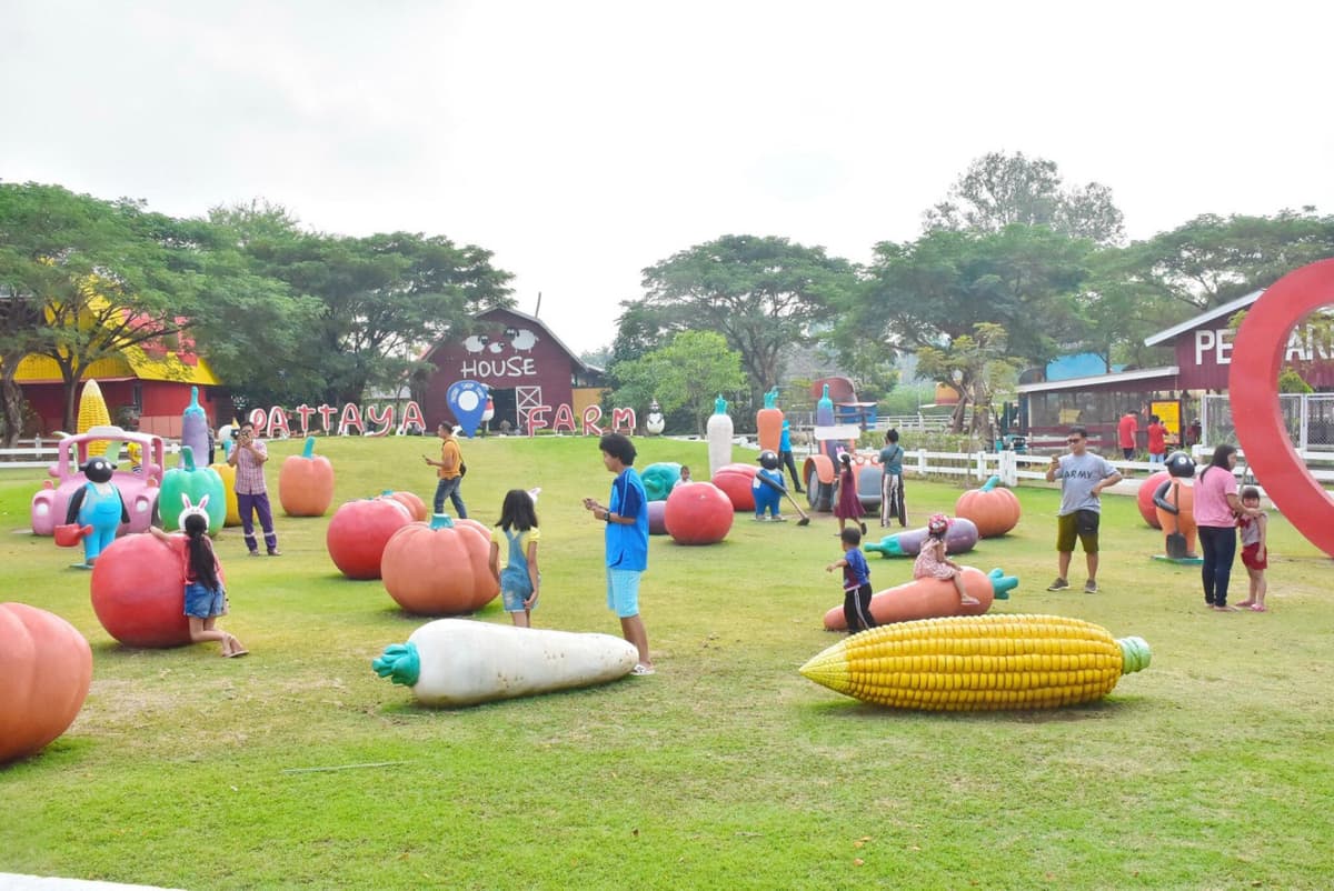 Pattaya Sheep Farm