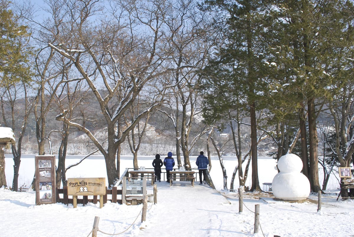 Nami Island and Garden of Morning Calm Tour from Seoul