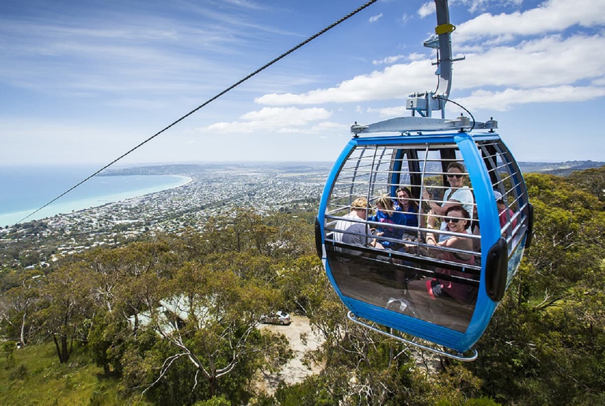 Mornington Peninsula Tour with Cruise