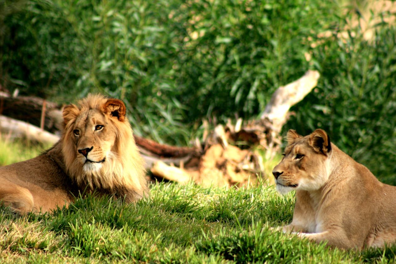 Go City Philadelphia Explorer Pass: Save up to 50% on Attractions
