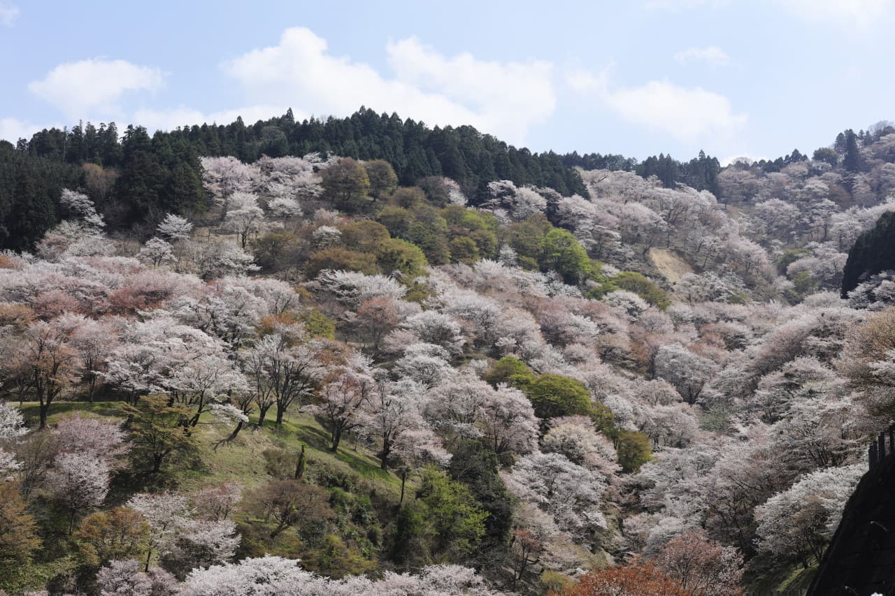 Kintetsu Rail Pass - Train & Bus Pass in Osaka, Nara, Kyoto, Mie (Ise Shima), Nagoya