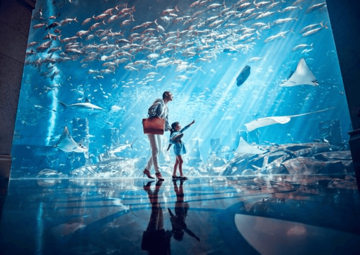 COMBO: IMG Worlds of Adventure with FREE Dubai Frame and Lost World Aquarium