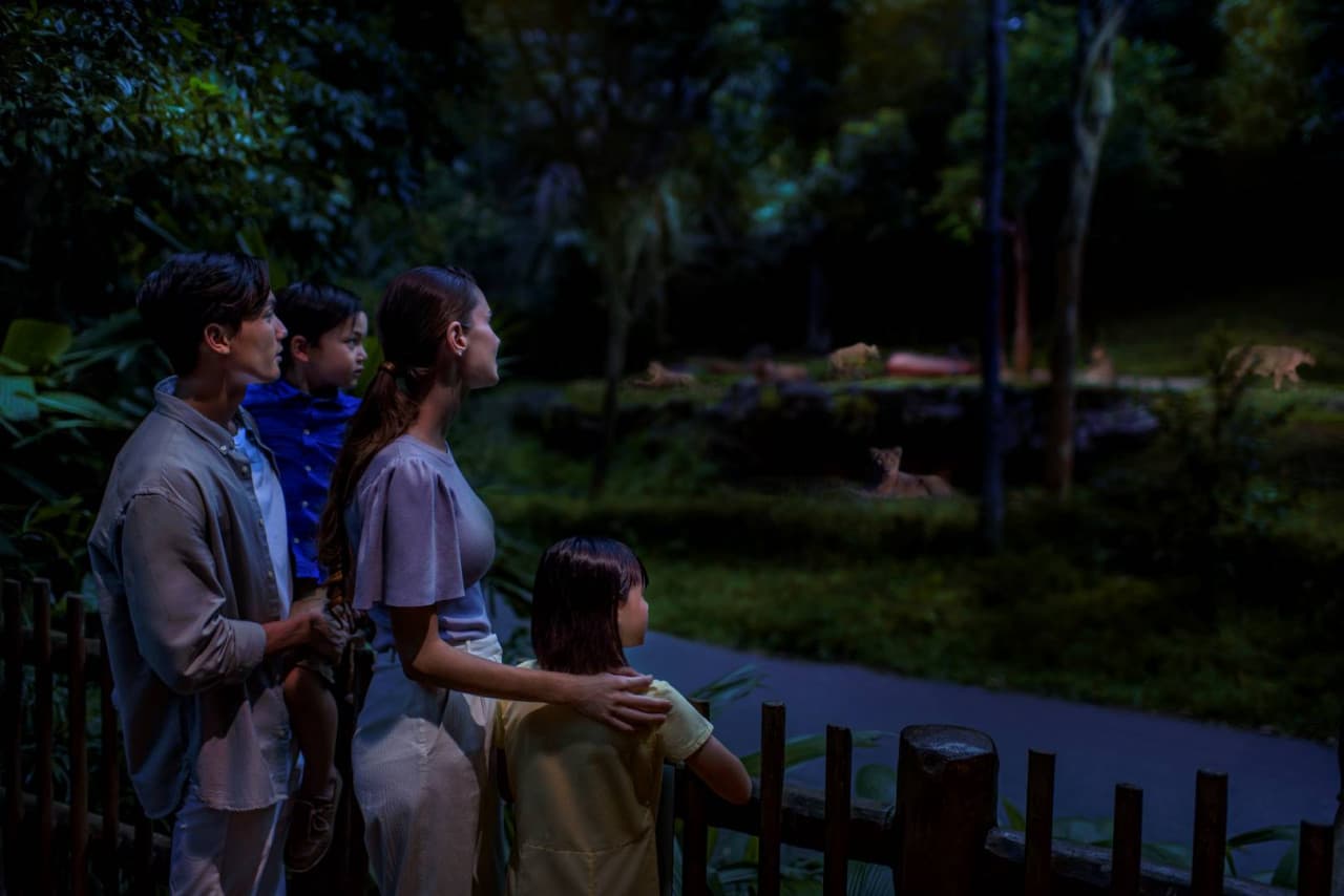 Singapore Night Safari Ticket