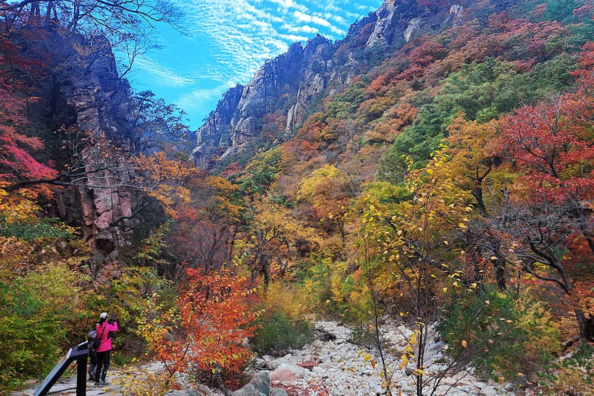 Nami Island, Mount Seorak, and Gapyeong Rail Bike Full-Day Tour from Seoul