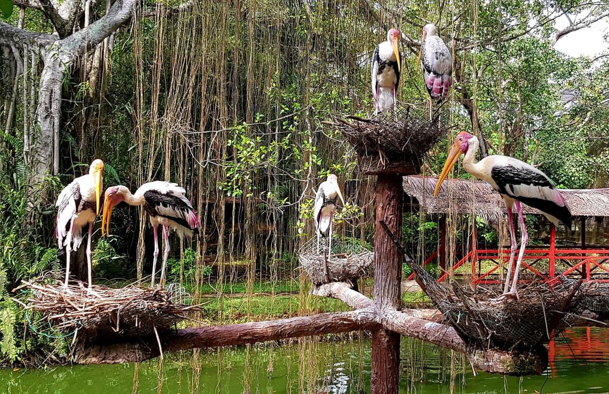 Penang Bird Park