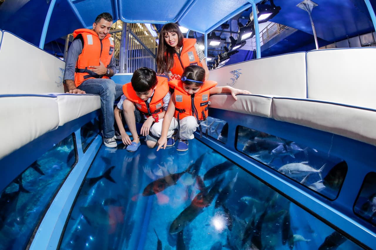 Go City Dubai Explorer Pass: Save up to 50% on Attractions