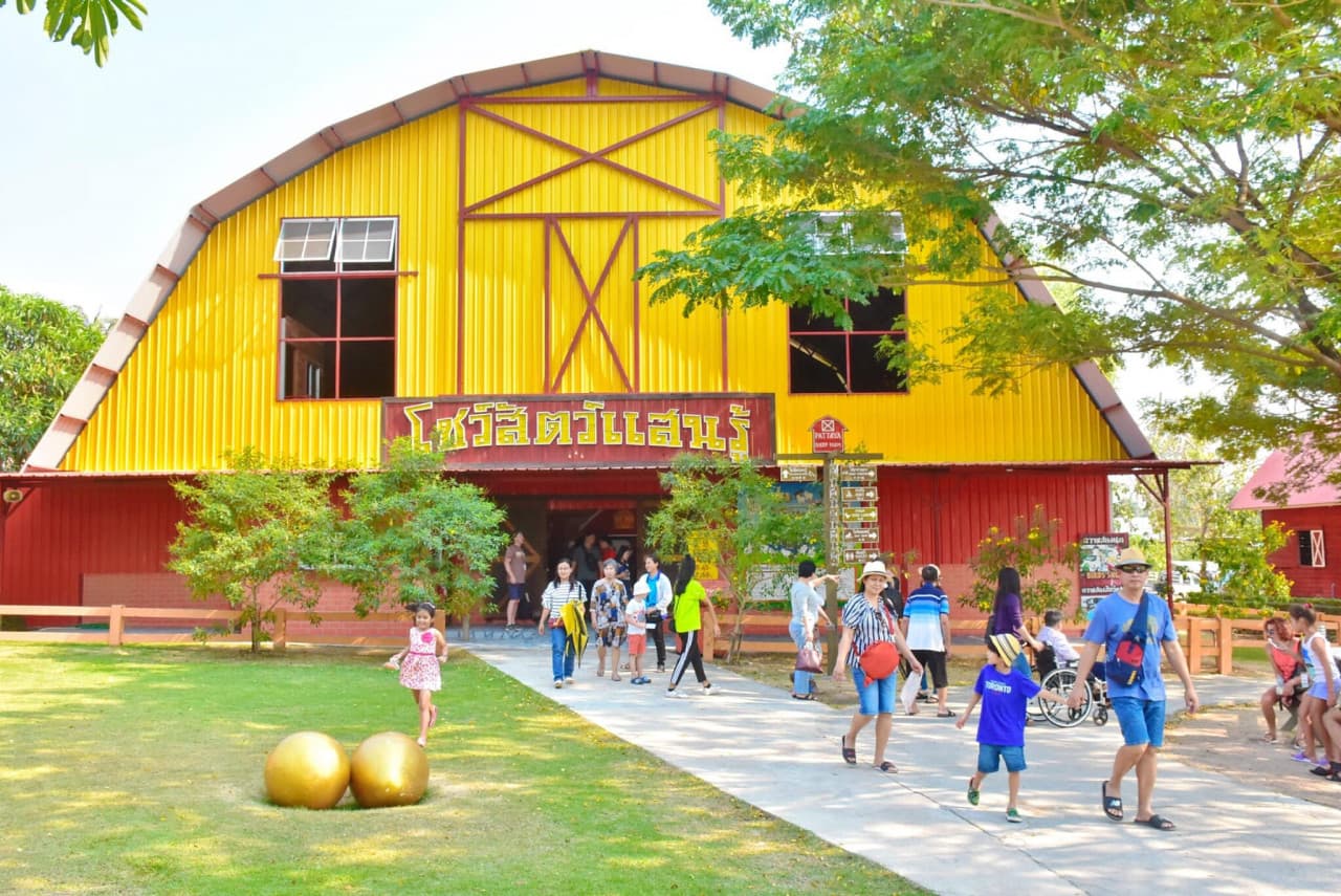 Pattaya Sheep Farm