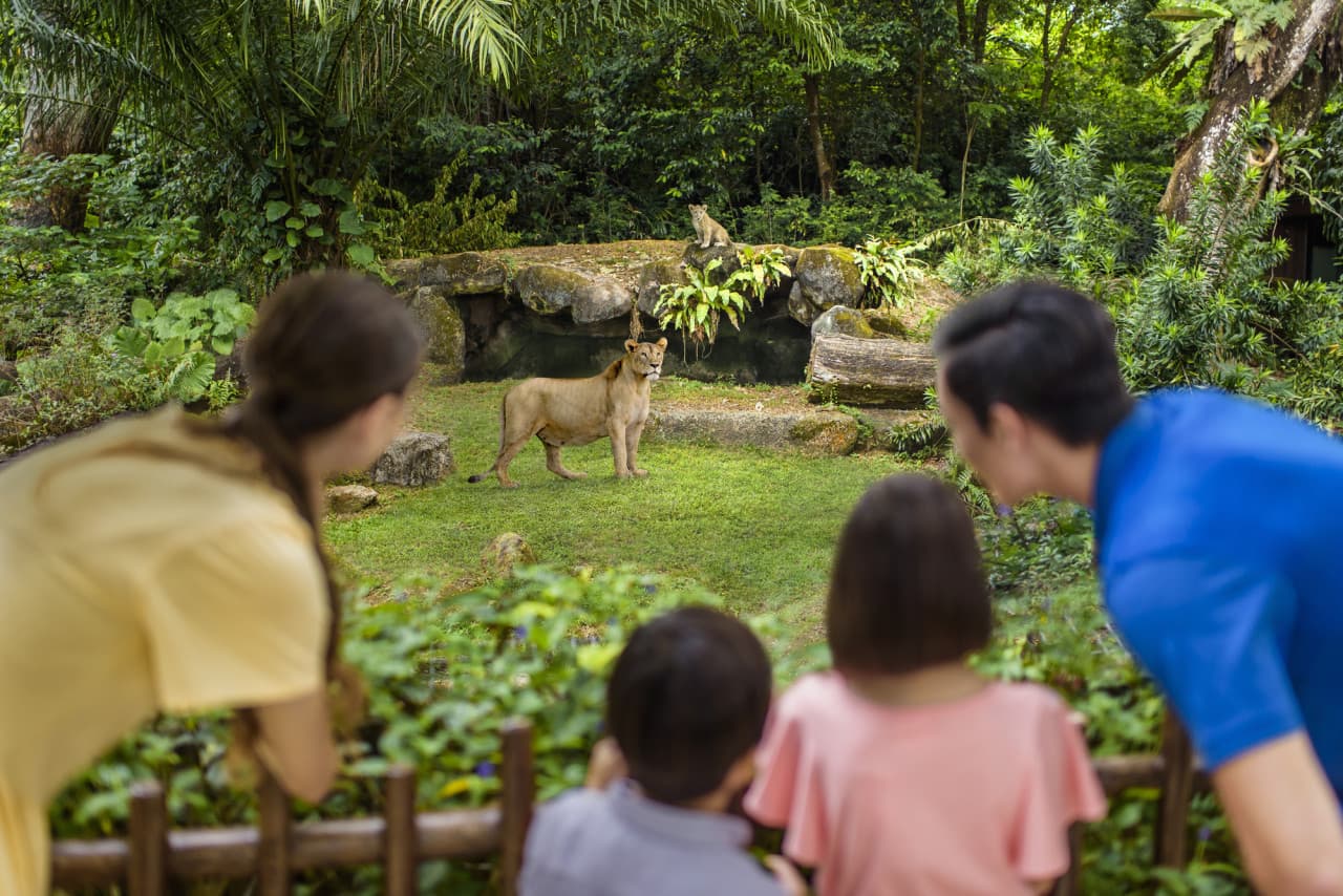COMBO: Singapore Zoo + River Wonders Ticket