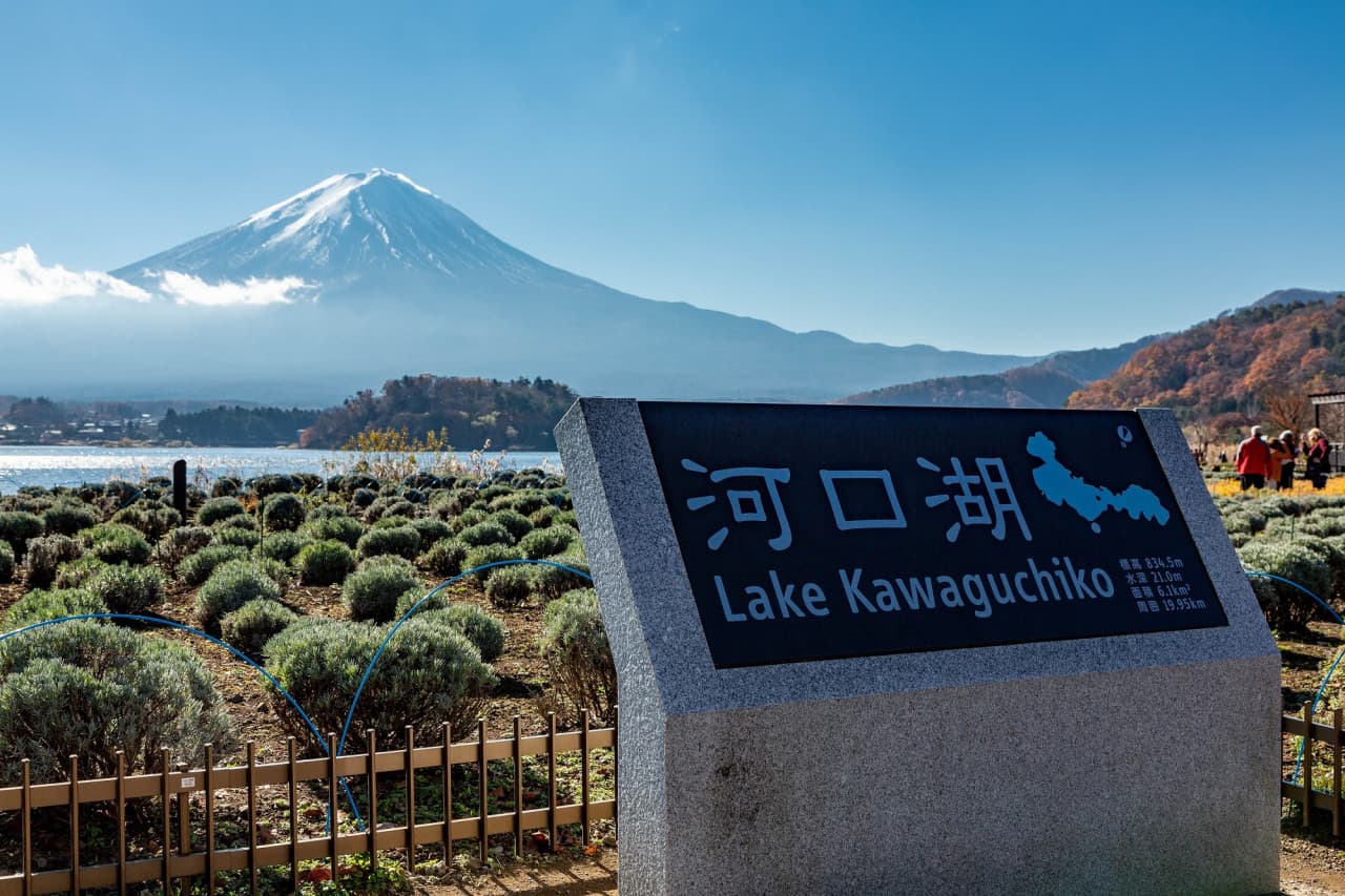 Mount Fuji and Arakurayama Sengen Park 1 Day Bus Tour