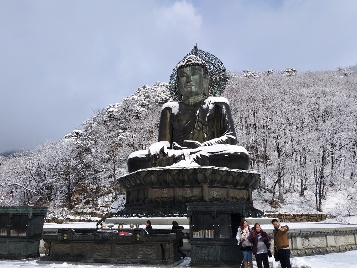 Nami Island and Mount Seorak Full-Day Tour from Seoul