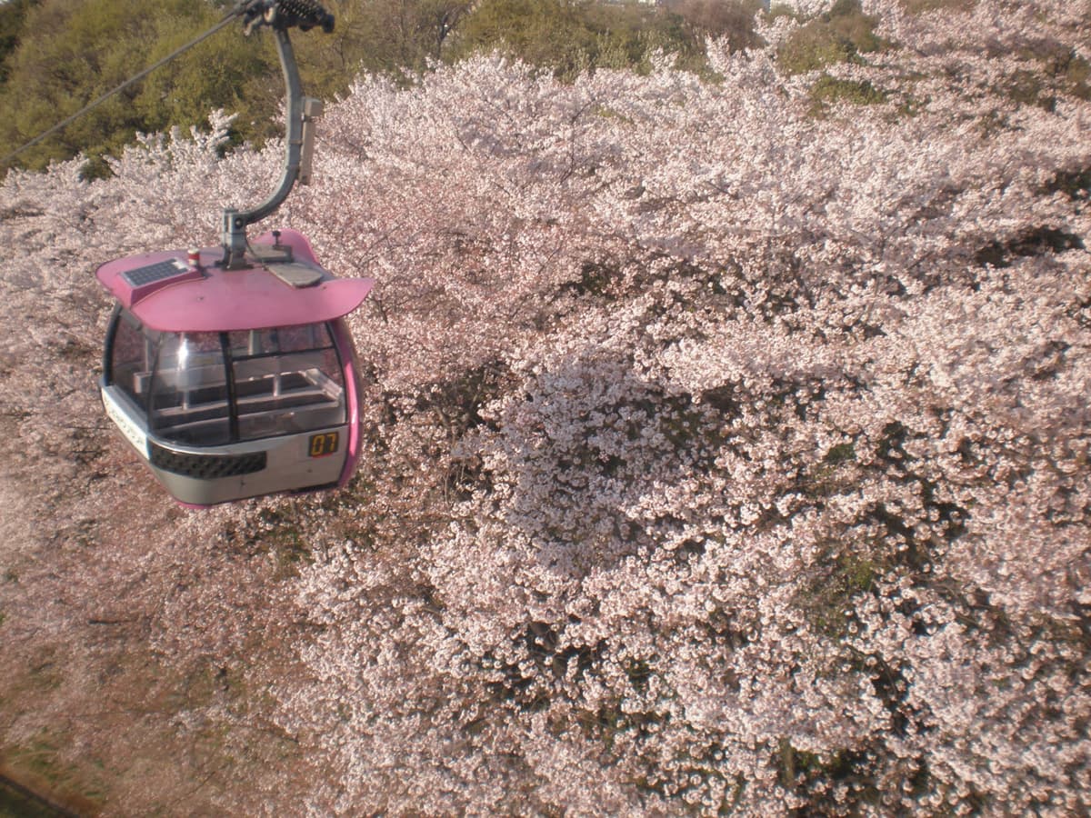 Yomiuriland Park + Keio Line and Inokashira Line Day Pass