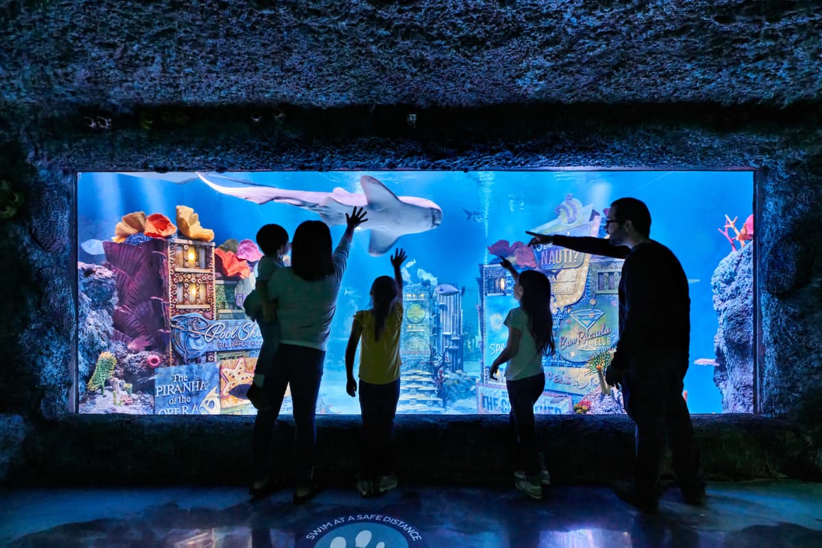 SEA LIFE New Jersey Aquarium Ticket