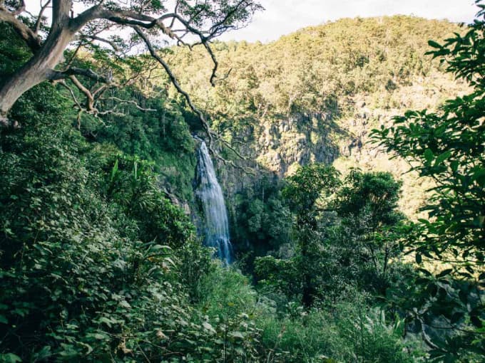 O'Reilly's Green Mountains Tour from the Gold Coast