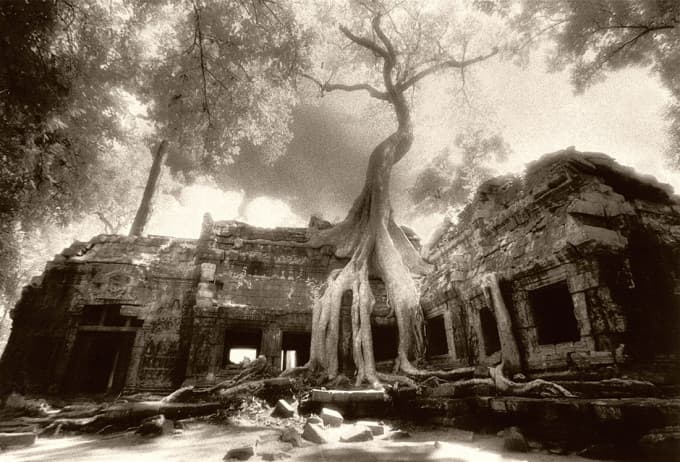 Angkor Temple Ruins Discovery