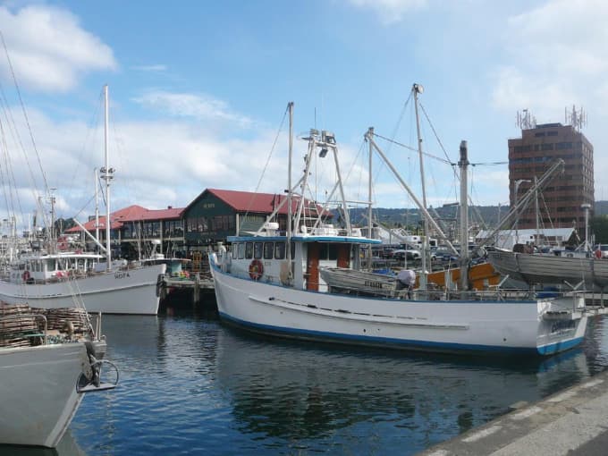 Bonorong Wildlife Sanctuary and Hobart City Tour
