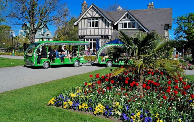 Christchurch Attractions Combo Pass