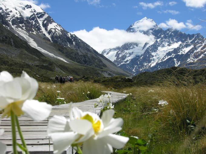 Mount Cook to Christchurch Scenic Coach Tour