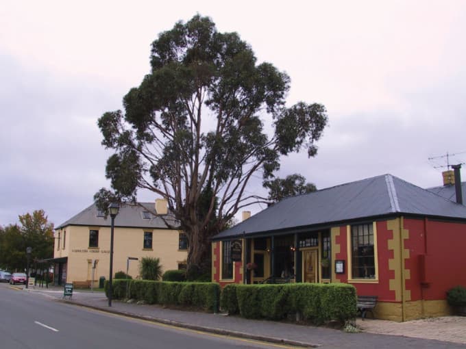 Richmond Village and Bonorong Wildlife Sanctuary Tour