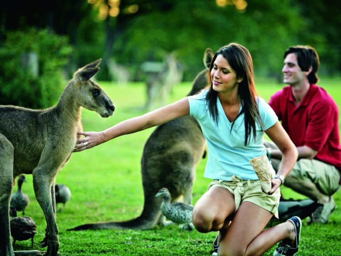Grand Brisbane Tour from the Gold Coast