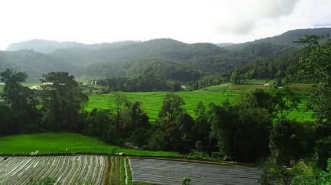 Doi Inthanon National Park Tour
