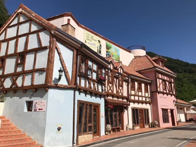 Nami Island, Petite France, and Italian Village Tour from Seoul