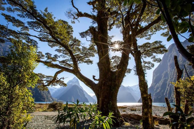 Doubtful Sound Wilderness Cruise