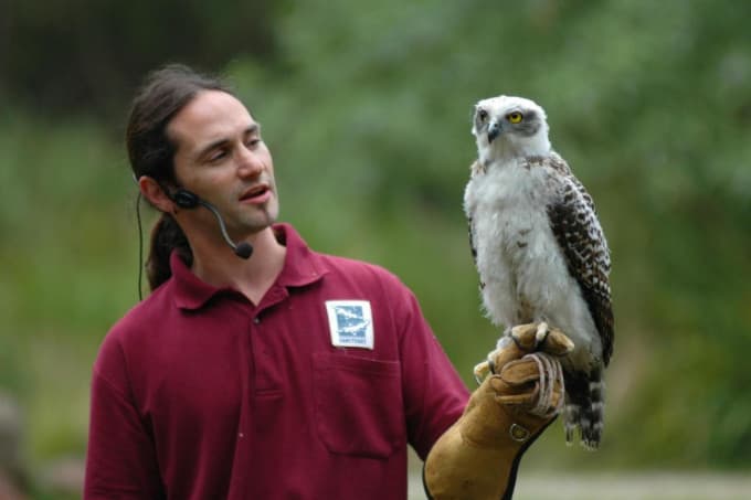 Puffing Billy and Healesville Sanctuary Tour